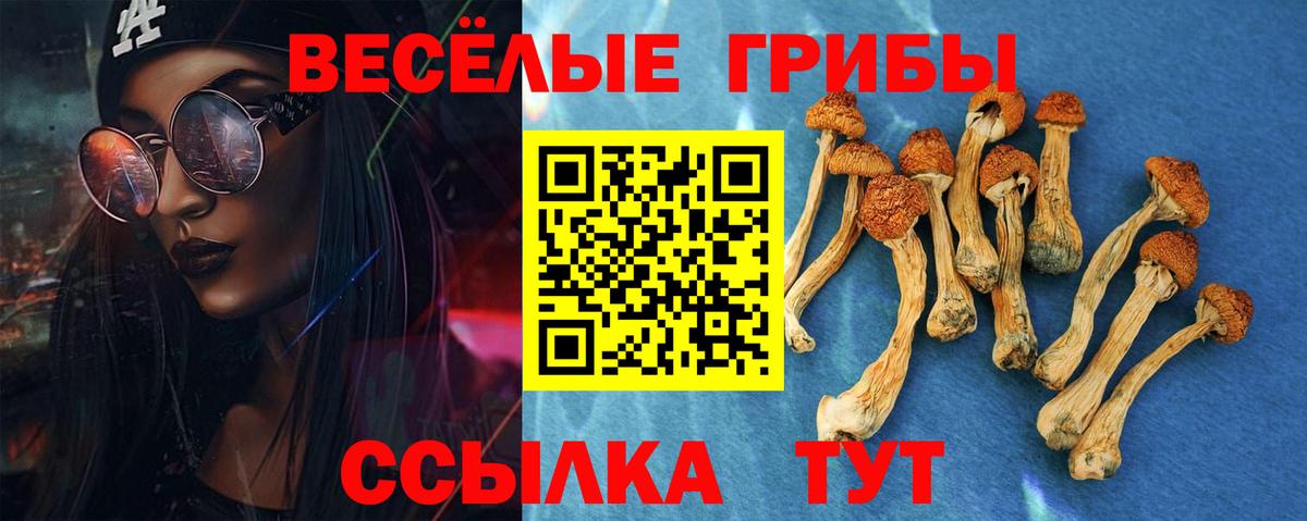 Галлюциногенные грибы Psilocybe  Вход с VPN  Ессентуки  Псилоцибиновые грибы мицелий 